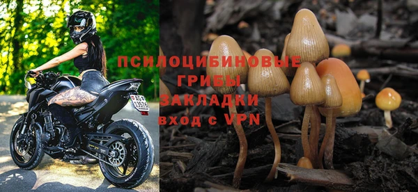 шишки Алзамай