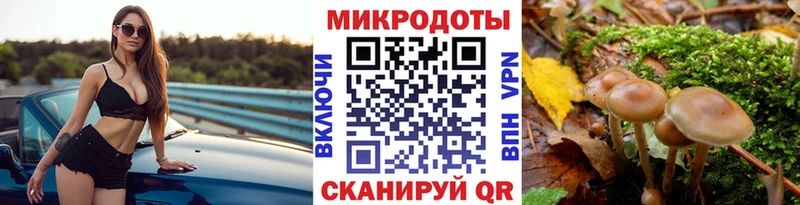 Галлюциногенные грибы мицелий  Купить  Вилюйск 